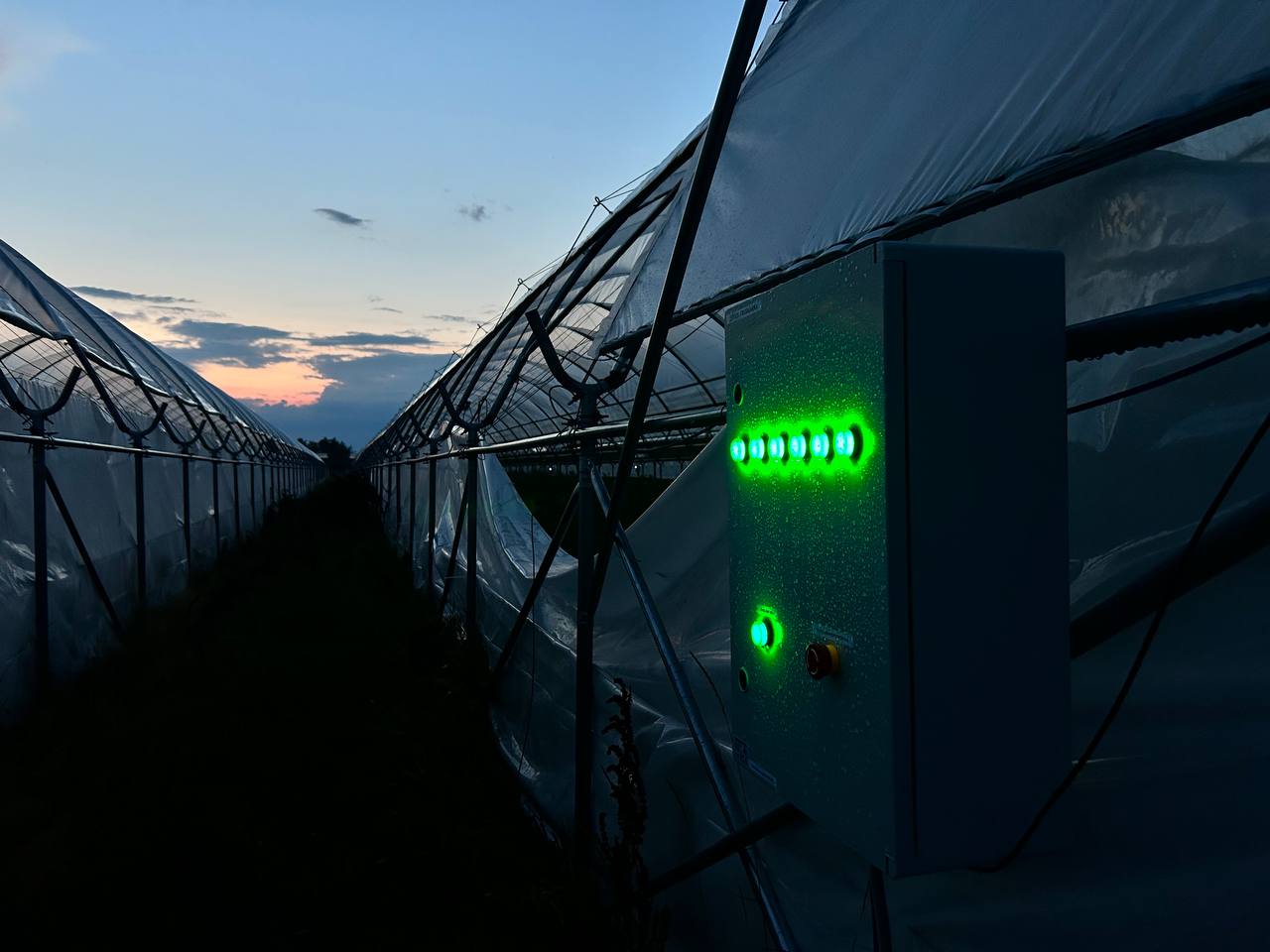 Tunel uprawowy - czujniki IoT